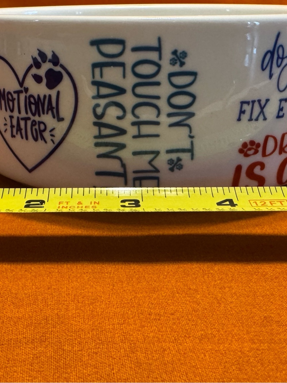 Ceramic Pet Bowl with Playful Saying
